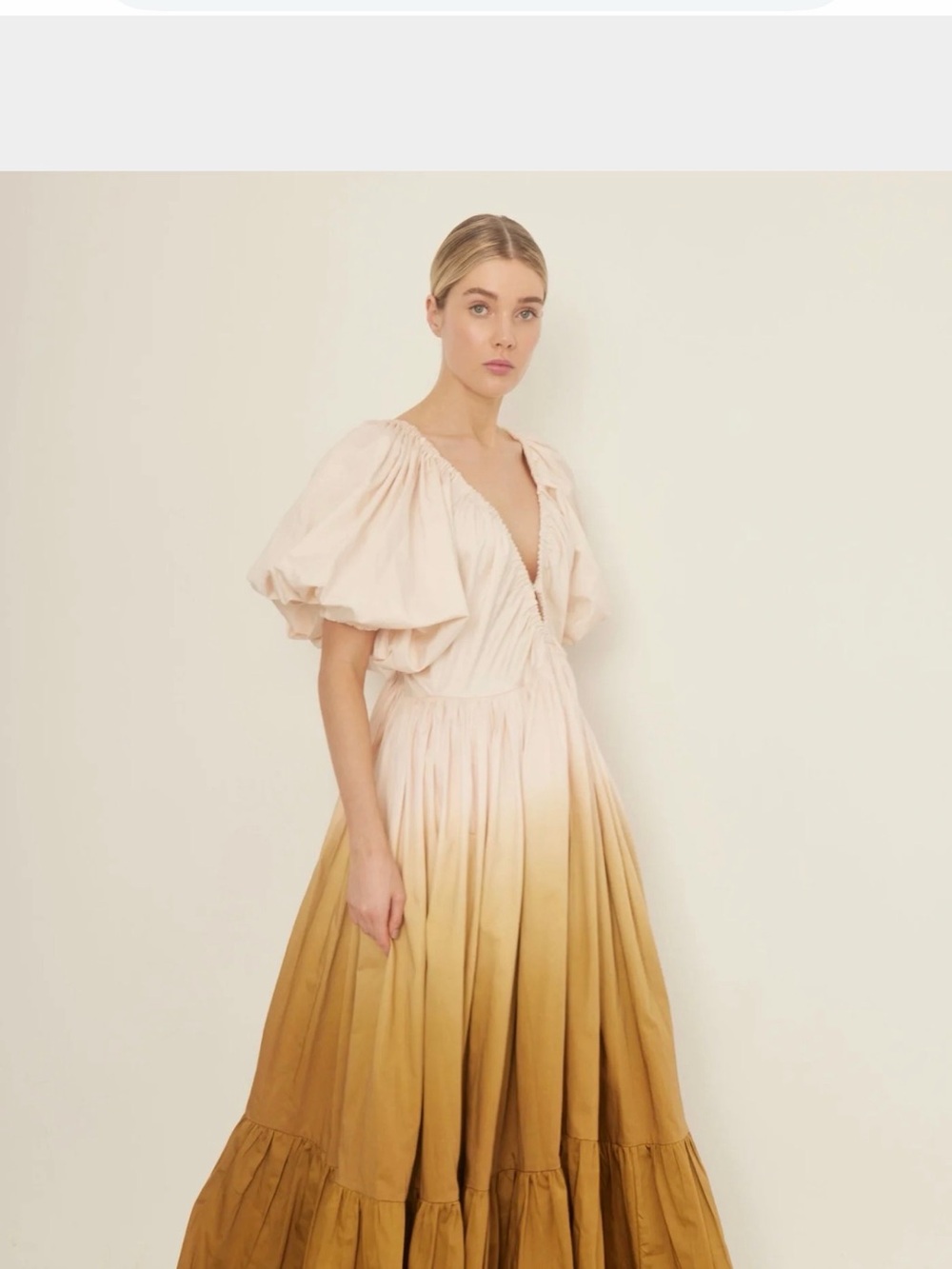 Birthday Gown/Sun Ombre